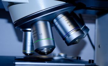 Czy po studiach pedagogicznych ma się przygotowanie pedagogiczne?